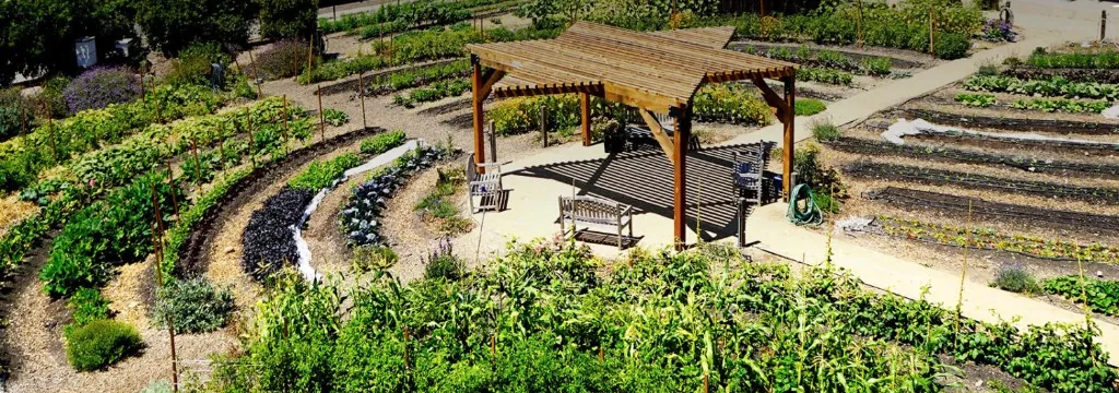 One community farms
