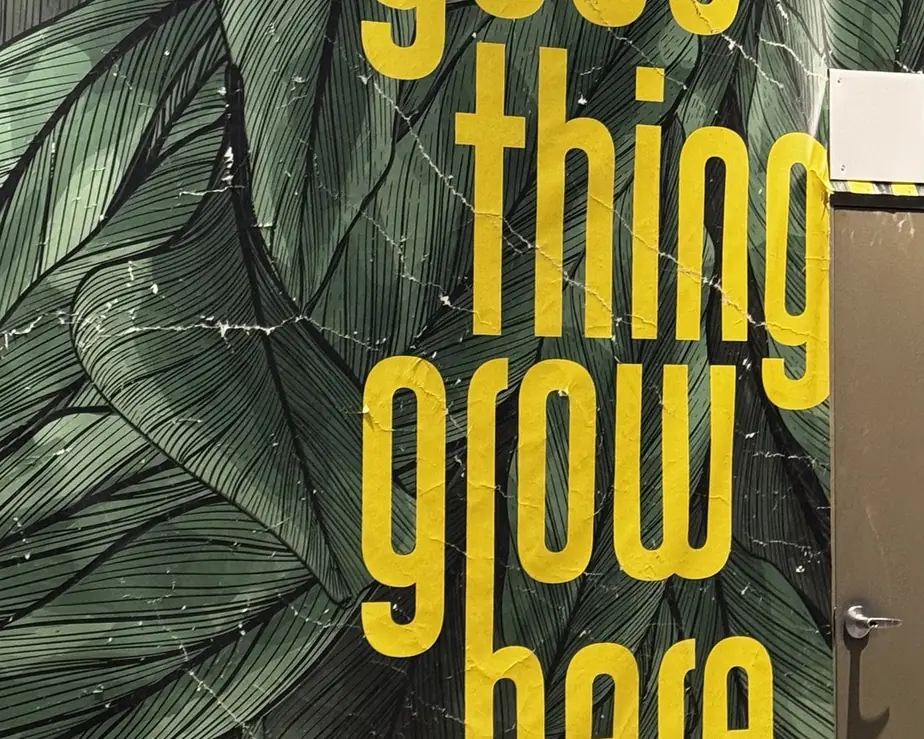 A wall painted with dark green leaves and the words good things grow here in yellow